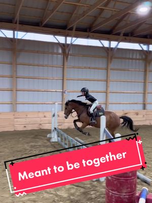 A post by @redraven2021 on TikTok caption: #WheneverWherever they were meant to be together 😍 #equestrian #horsejumping #equestrianlife #foryou #fypシ #nohands #teamwork