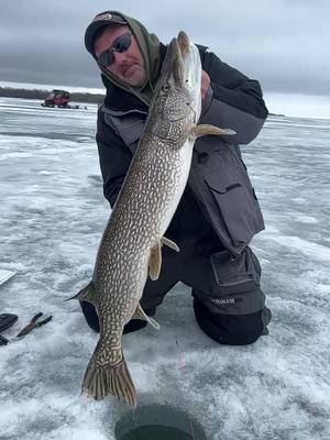 A post by @rjaminnesoda on TikTok caption: Still have a ton of ice videos to post from this season, more to come! #fishing #pikefishing #fish #fishtok #mn #mnfishing #pike #icefishing #icefish #minnesota #