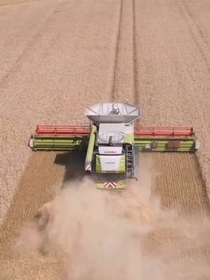 A post by @landwirtschaft_.23 on TikTok caption: #fypage #claas #dreschen#raupe #sommervibes #esgehtbaldlos #vorfreude #ichwillaufforyou #gehviral 