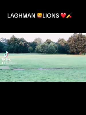 A post by @laghman.lions2023 on TikTok caption: Love cricket ❤️❤️🦁#laghman #lions #🏏 #foryoupage @𝔐𝔯-ℑ𝔰𝔥7 @Kabul Bazan🦅🦅🏏❤️🇦🇫 