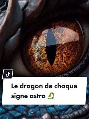 A post by @astroinfos on TikTok caption: Donne moi ton signe en commentaires ! 🔮 #france #paris #toulouse #lille #marseille #strasbourg #pourlesfrançais #rouen #pourlafrance  #brest #francais #fr