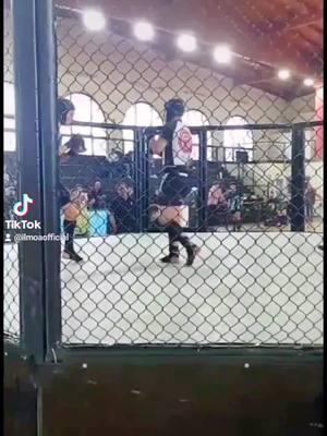 A post by @ilmoa99 on TikTok caption: #mma #mmafighter #mma_russia #mmahighlight #mmaitaly #UFC #grappling #perte