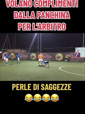 A post by @mila_la_barboncina on TikTok caption: #football #calcio #sscnapoli #virale #barboncino #sport #tifosi #barboncini #curvaa #4zampe #tiktokcalcio #addestramento #footballskills #ultras #calcioitalia #fedayn #qualazampa #napoli #freeclipcalcio4k #1926 