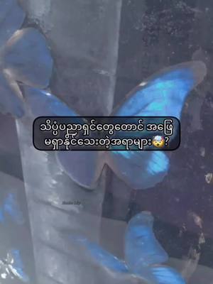 A post by @vampire_lii on TikTok caption: ဒီလိုစိတ်၀င်စားစရာလေးတွေကို ကြည့်ချင်ရင် Hankoကို Follow လုပ်ထားကြနော်🤗🗿(Just for fun)#foryou #view #viewတွေရှယ်ကျ😞✋ #true #fypပေါ်တင်ပေးပါtiktokရေ🥴👊🏼🤕 #ellabinko990 #true #ထူးဆန်းထွေလာ🤯