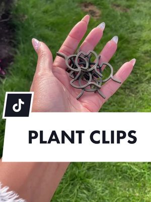 A post by @jessica_grizzle on TikTok caption: PLANT CLIPS FOR TALL PLANTS #plantclips #grizzlegarden #gardenwithme #gardentok #gardening101 #diygarden 