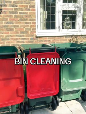 A post by @twinklecleaningduo on TikTok caption: Ive Bin Cleaning 🗑️ #binclean #CleanTok #cleaningmotivation #cleaningasmr #cleaningtips #cleaningaccount #cleanday #cleanup 