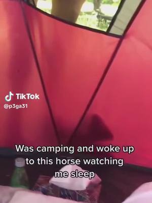 A post by @beth_carr420 on TikTok caption: I couldnt resist reposting with this sound @p3ga31