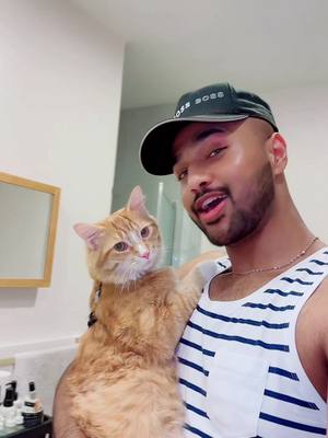 A post by @the_smile_king on TikTok caption: My♥️… comment below if you love 🐈😘