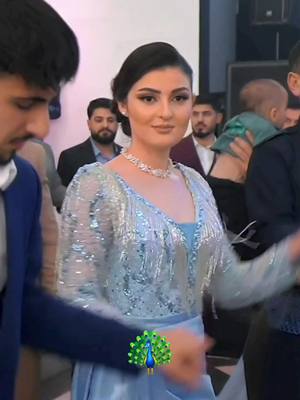 A post by @buk.u.zava1 on TikTok caption: ezidi Hochzeit 🦚  #🦚🔥🔥 #🦚👑  #ايزدي #ايزديخان #ezidi #🦚  #شيخان #شنكال #hochzeit 