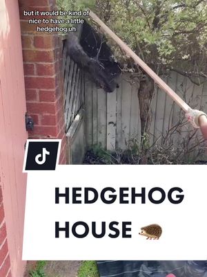 A post by @jessica_grizzle on TikTok caption: HEDGEHOG HOUSE #hedgehogsoftiktok #hedgehog #hedgehoghouse #grizzlegarden