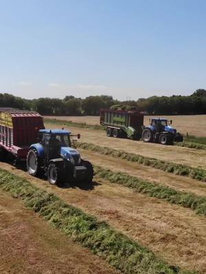 A post by @offaly_agri_photography on TikTok caption: Cooler than the other side of the pillow 😎 @patrick6carroll @noah_kavanagh14 #silage #2023 #newholland #strautmann #sillyseason #farm #fyp 