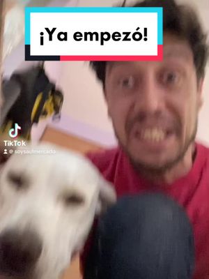 A post by @saulmercadomx on TikTok caption: Ya arranco la campaña de fondeo  Ayudame a ayuda a los perritos mientras generamos conciencia y recursos con musica. #adoptanocompres #adoptaunperro #adoptaunperritodelacalle #adoptaungato #perritosdetiktok #perritosdelacalle #adopcionresponsable #actormexicano #amantedelosperros #amoamiperro #rescateanimal #rescatistasmexico #AprendeEnTikTok #musicaconcausa @Arturo Islas Allende @El hogar de Duke @Ángeles Marú @Elkjær Gilbon @Emma Yesfountains @Fundación Renacer Animal - ONG @Fric Martinez @Fundación Huellitas Alemán @FUNDACION CON PASION ANIMAL @Fundación Alma Perruna @Adoptanocompres.org @AdoptaUnPerroNL @adopta.mx @Benito's House @Huellitas Seguras Oficial 