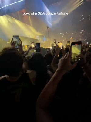 A post by @hannaaah4 on TikTok caption: i was vibing tf out #szaconcert #szaamsterdam 