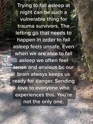 A post by @queenielive1999 on TikTok caption: #trauma #sasurvivor #dvsurvivor #ptsd #anxiety #narcabusesurvivor #narctok #HealingJourney #findyourstrength #youcandothis