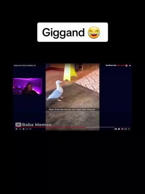 A post by @giggand.fun on TikTok caption: #giggandclips#viral#foryou#folgen#wenn#kein#Geld#da#ist#giggand😂# 