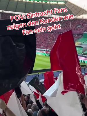 A post by @f8tballnotsoccer on TikTok caption: #eintrachtfrankfurt #frankfurt #rbleipzig #kunden #ultras #fyp #dfbpokal 