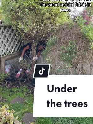 A post by @jessica_grizzle on TikTok caption: BARK IN THE GARDEN #grizzlegarden #bark #gardenwithme #gardenproject #garden101 #gardentok #gardening 