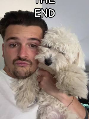 A post by @lucas_tout_simplement on TikTok caption: ✨TINA✨ comment s’appelle votre Toutou ?! #pourtoi #chien 