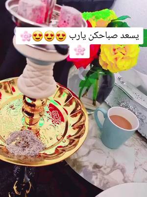 A post by @masa.797 on TikTok caption: بحب بلش نهاري بأركلية وفنجان قهوه #حركةإكسبلور #متابعه #متابعه #حركةإكسبلور