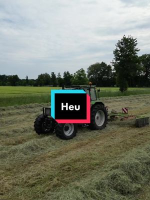 A post by @westfalen_agrar on TikTok caption: Was habt ihr für einen Schwader 🌾🚜?#Landwirtschaft #ohnewirkeinihr #wirgebennieauf #nofamersnofoodnofuture #agriculture #landwirt4live #teambauern #Trecker #Liken #folgen #viral #fypシ @JulianAgrar @matteo.steinberg @Österwieher_agar @Richard.1425 @Silas 