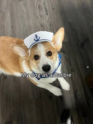 A post by @corgi_with_a_question on TikTok caption: Ahoy matey! ⚓️💋🐶  #corgi #barbiegirl #barbie #barbiechallenge #barbiemonster #dogsoftiktoks  #CapCut 