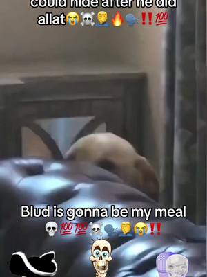 A post by @marco..official on TikTok caption: Follow me or #blud will be my meal.  #meme #dawg #fyp #funny