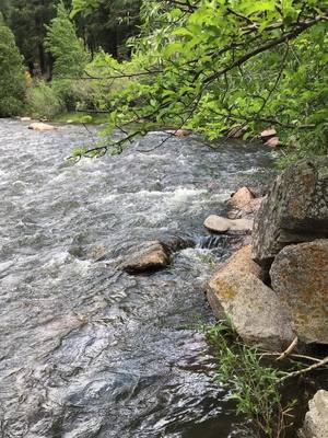 A post by @puroprada on TikTok caption: ASMR Pecos River Santa Fe New Mexico #nature#river#water