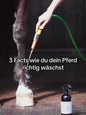 A post by @animalon_official on TikTok caption: Mag dein pferd es gewaschen zu werden? 👀☀️💦  #animalon #tipp #pferdepflege #pferdwaschen #facts #tippsundtricks 