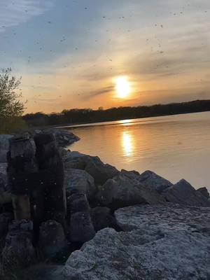 A post by @connor.howes on TikTok caption: Abandoned Pier #abandoned #pier #lakelife #fishing #sunset #bugs #cool #connorhowes