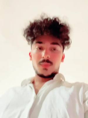 A post by @mhmdrezaeyvazi on TikTok caption: مارگاریتو به راهه 😅