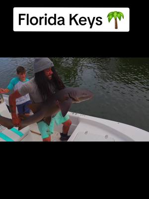 A post by @guerrillaoutdoors on TikTok caption: My Youtube Is Where You Wanna Be!  #guerrillaoutdoors #florida #shark #fishing #foryou #fishtok #fyp #viral 