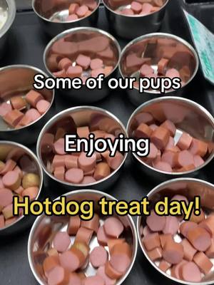 A post by @dogtopiaoftemecula on TikTok caption: These pups loved their hotdog treats today! #dogtopiadaycare #dogsofdogtopia #mostexcitingdayever #dogtopia