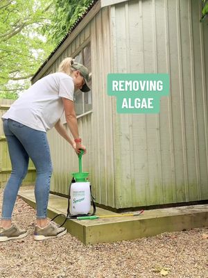 A post by @twinklecleaningduo on TikTok caption: When I spotted my garden shed covered in algae I knew I was in for a satisfying clean 🙌🏻 In order to kill the algae without being harmful to wildlife I mixed a solution of one part vinegar to one part water. So I started my clean by using my pump and hose to cover the areas in this solution.  Next up I hosed it all off with ease using my jet wash and what a difference!! . #satisfyingclean #satisfyingvideos #filthyclean #beforeandafterclean #beforeandafters #cleaningproductsthatwork #cleaningistherapy #cleaningaddict #cleaningaccount #cleaningmotivation #shedclean #algaeremoval 