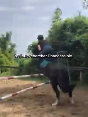 A post by @mathildenoisette20 on TikTok caption: ❤❤❤#poney #pourtoi #fyp #viral #equitation #foryou #trend #poney #fypシ 