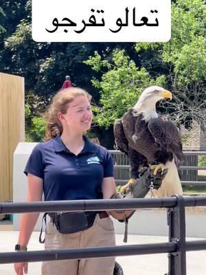 A post by @moe.k88 on TikTok caption: #foryou #foryoupage #fyp #animals #animallover #usa #buffalo #zoo #niagarafalls #nyc 