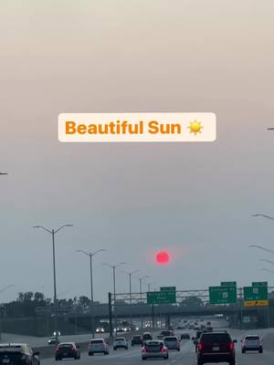 A post by @theshal on TikTok caption: #theshal #sunsetphotography #traveltiktok #srk 