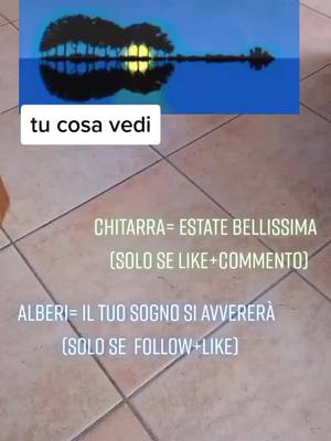 A post by @pillutesta12 on TikTok caption: cosa vedi?