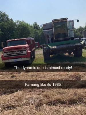 A post by @cameronhargrove26 on TikTok caption: It’s that time if year!! #Farming #fyp #Missouri #gleanercombines #foryou