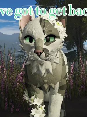 A post by @jack0thewack01774 on TikTok caption: With @yuki #warriorcatsultimateedition #warriorcatsultimate #warriorcatsroblox #waca #wcue #jackowcue #wcuejacko #fypシ #fy #foryou #foryourpage 