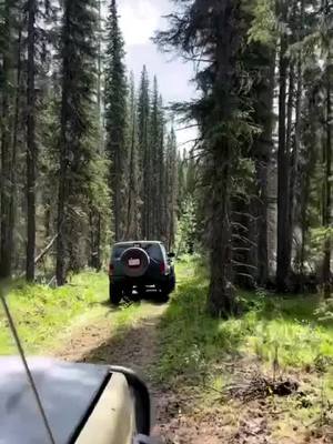 A post by @yyc4wheelers on TikTok caption: We gots all the views a couple weekends ago 😍 -wait till the end 👌🏼 . . . #trails #jeeps #jeeping #xj #xj6 #bike #lol #overlanding #reels #jeepreels #views #jeeplife #xjaddicts #canada #tbt #reelsinstagram #instagood #4x4 #offroad #goodvibes #tiktok 