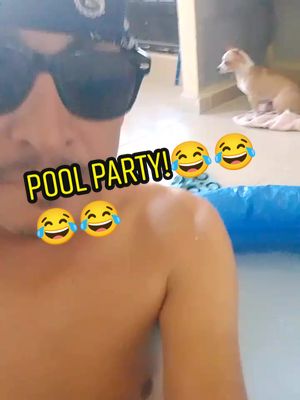 A post by @lasaventurasdebeberlyysu on TikTok caption: #aventurasdebeberly #monterreynuevoleon #viral #dogsofttiktok pool party!🤣🐕🐾