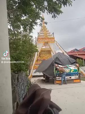 A post by @sansao086324185 on TikTok