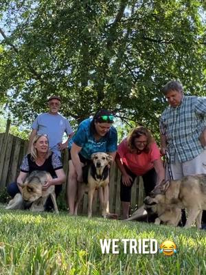 A post by @heyitslee_bekind on TikTok caption: Rescued dogs spend their first brithday together. #buffalony #foster #adopt #firstbirthday #family #forever #furever #nickelcitycaninerescue #Siblings #special #feelgood #bekind