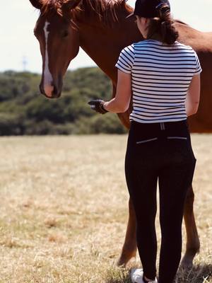 A post by @animalon_official on TikTok caption: Lovely moments 🤍🐴  #animalon #pferdepflege #horsegroom 