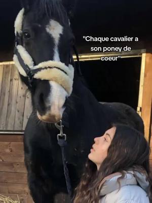 A post by @mathildenoisette20 on TikTok caption: je l'aime❤#ponette #equitation #cavalier #cavaliere #poney #pourtoi #prttt 