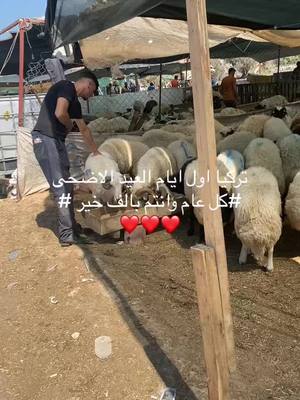 A post by @hisham6151 on TikTok