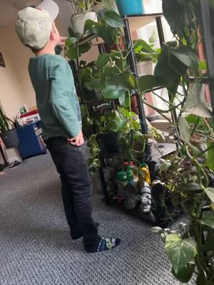 A post by @sarbritney121 on TikTok caption: My 9 year old admires my plants. #plants #plantmom #monstera #plantsoftiktok #boymom #fyp 