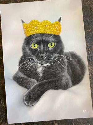 A post by @coco_sazerac on TikTok caption: Amazing drawings of my #cats by @Maria Sergeeva  Queen Coco Dapper Sazerac Fluffy Max 