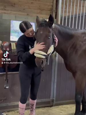 A post by @lina_equitation2.0 on TikTok caption: Le poney de ma vie ❤️❤️ ##cheval##pony##équitation 