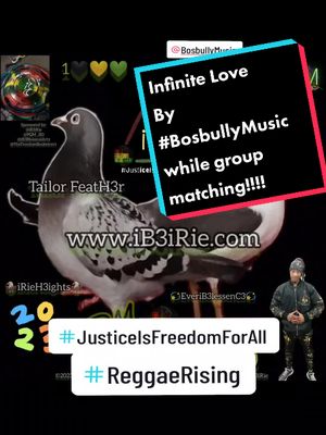 A post by @reggaerising on TikTok caption: 💫Live Highlight💫 Matching & Sharing! *No Controversy* Song Title: Infinite Love Artist: @BosbullyMusic  Host: @Professor Quill🪶 M3dia 🦅 iB3  #ReggaeRising Sponsored by  @iB3iRie  #JusticeIsFreedomForAll @The Freedom Busketeers  #FreedomIsOurExpression  @iB3 Blossical Artz  #U'N'iVersAll  www.iB3iRie.com #iB3iRie #iB3iRieon  #BosbullyMusic #KeepItBossicle #BossicleWord #BosbullyTV  #BIndustreets  #Bosbully #Reggae #Music #Original #OriginalSound #Unreleased #LiveHightlight #Dancehall #Artist #ReggaeArtist #DancehallArtist #Bashment #LoveSongs #Soulful #Divine #HonourableCompassion #Compassion #Honour #Matching  #Exclusive #Infinite #InfiniteLove #Love #Music